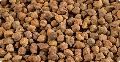 Chickpeas-Tyson-img