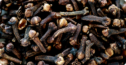 Clove-image