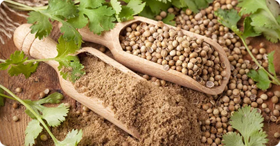 Coriander-Powder-image