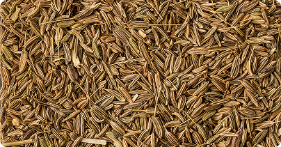 Cumin-image