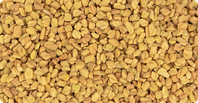 Fenugreek-image