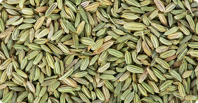fennel-image