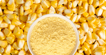 Corn-Maize-Flour-image