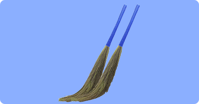 BROOM STICK (ZADU)