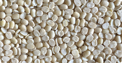 White Lentils img
